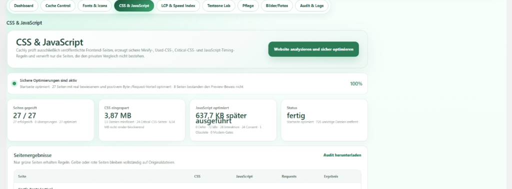 cachly CSS- und JavaScript-Optimierung mit Kennzahlen und Seitenergebnissen – CSS- und JavaScript-Zusammenfassung mit Optimierungsstatus.